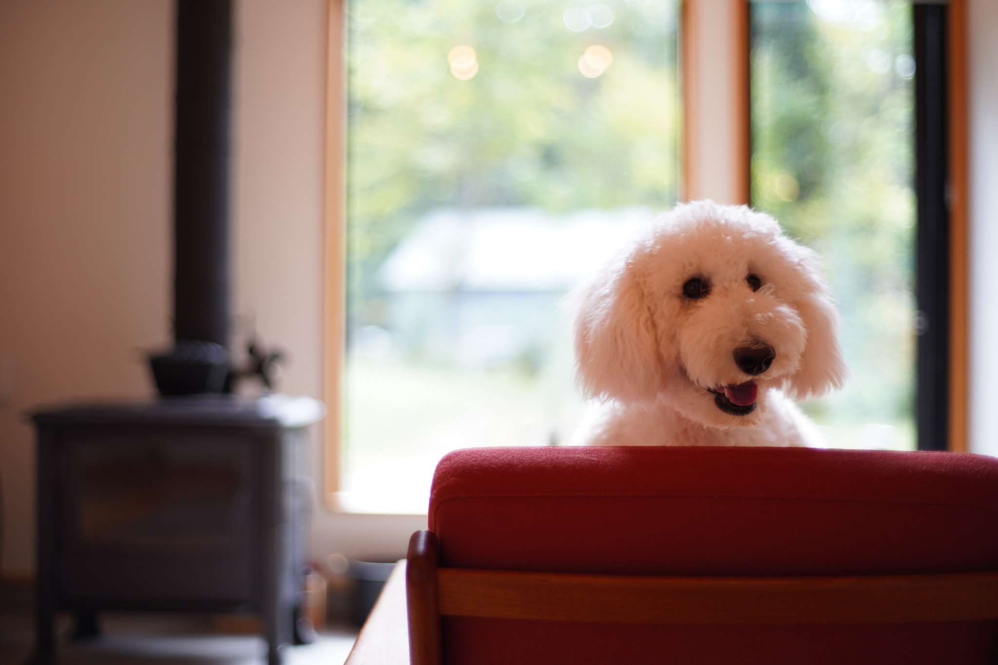 家族とともに育む家